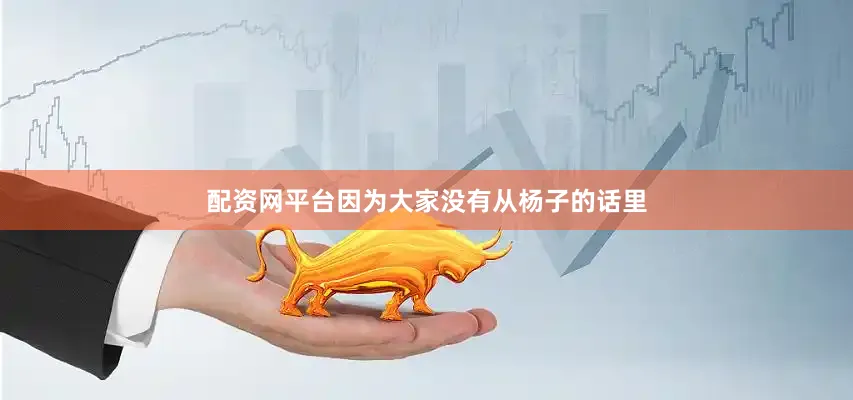 配资网平台因为大家没有从杨子的话里