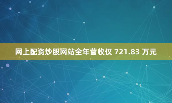 网上配资炒股网站全年营收仅 721.83 万元