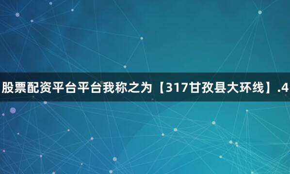 股票配资平台平台我称之为【317甘孜县大环线】.4