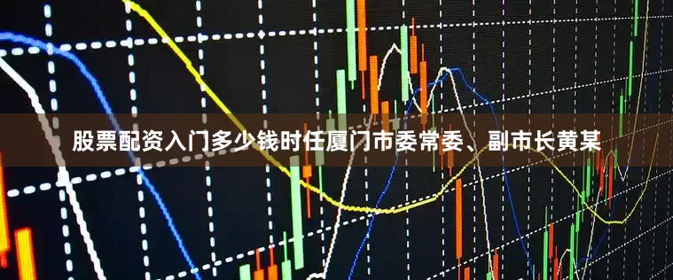 股票配资入门多少钱时任厦门市委常委、副市长黄某